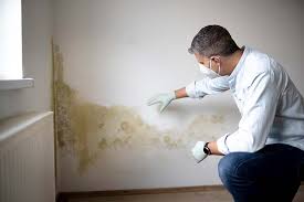 Best Post-Construction Mold Inspection  in South Plainfield, NJ